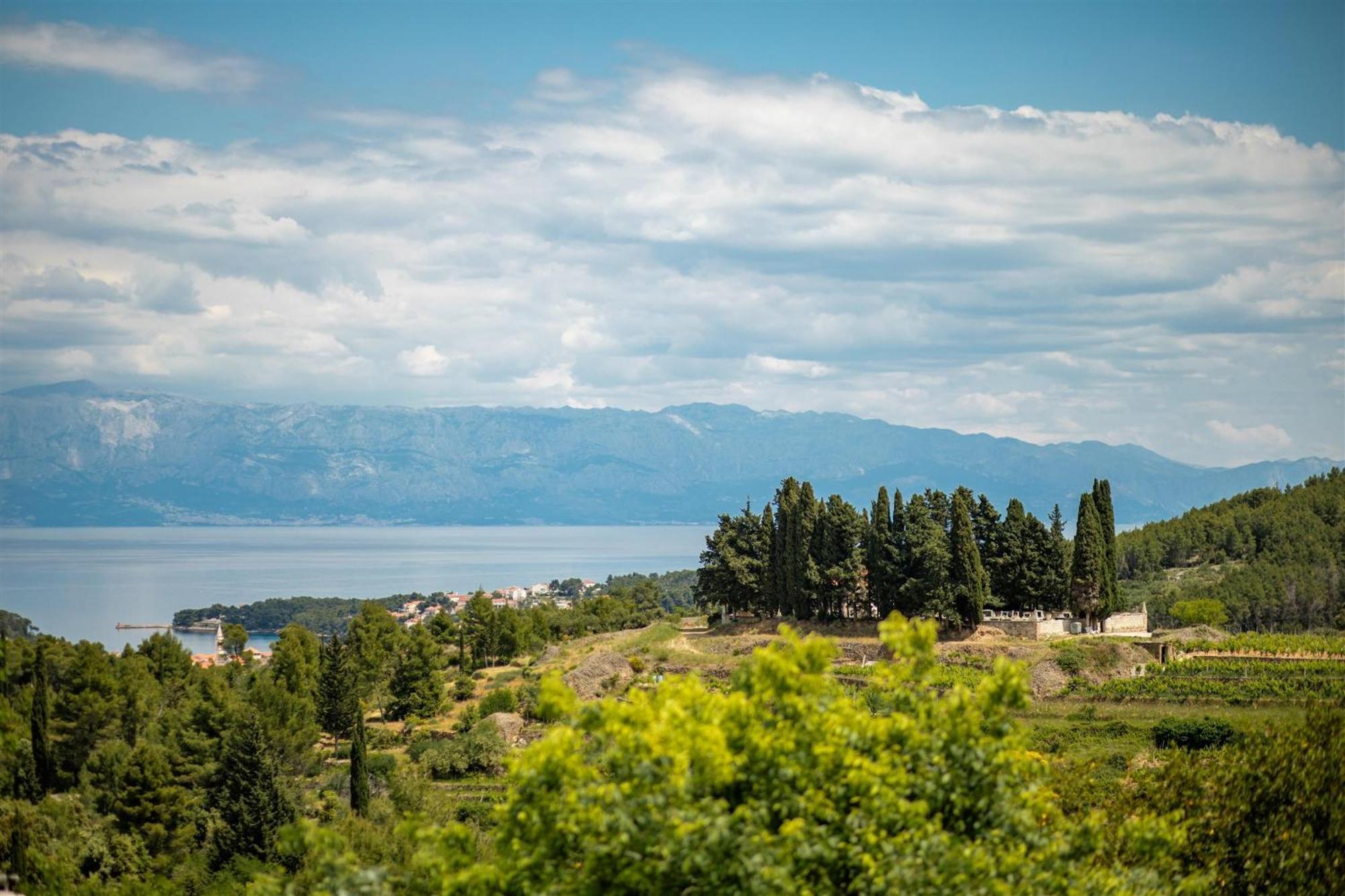 Dvor Pitve Villas Jelsa  Chambre photo